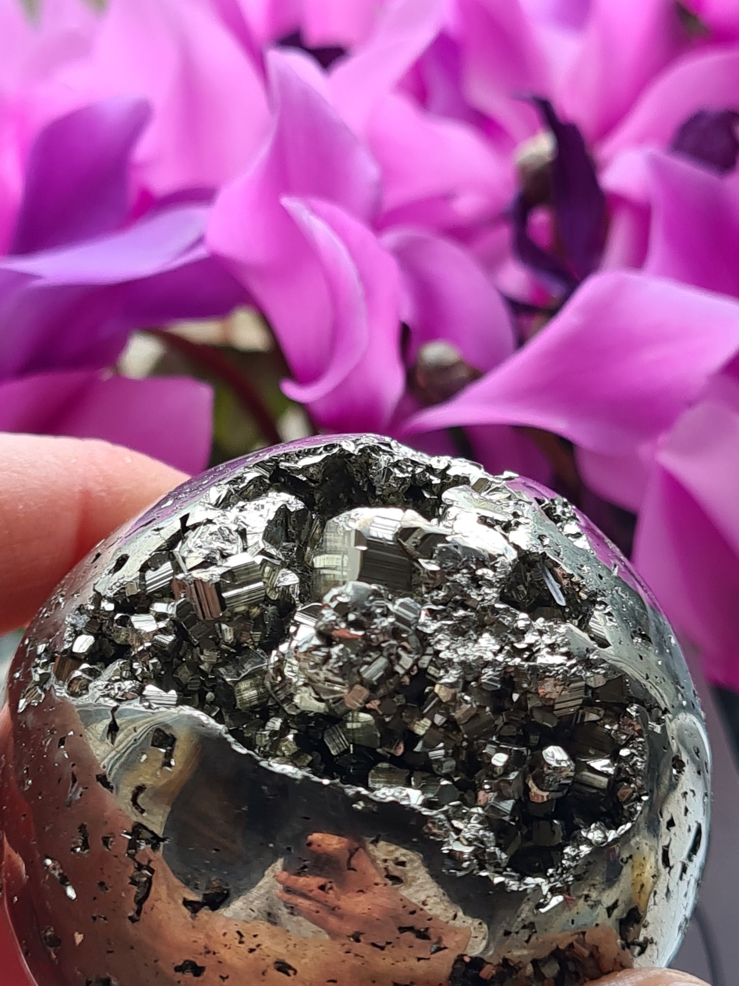 Natural Peruvian Pyrite Sphere with Cubic Formations sat infront of a purple Azelea flowering plant