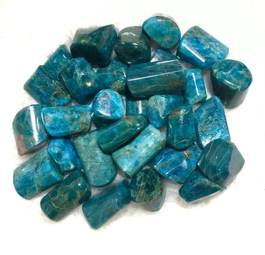 Neon Blue apatite tumbles stones available in 3 sizes.
Photographed on a white background.