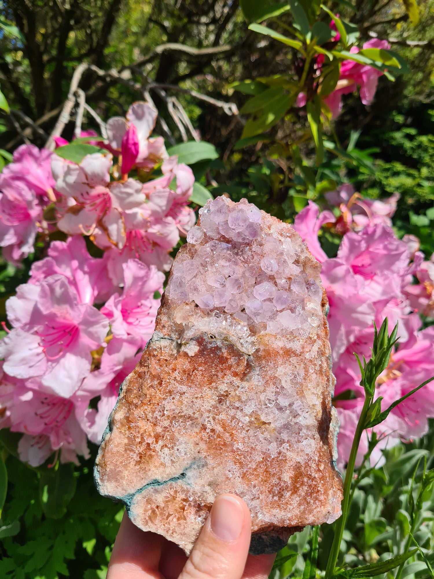 Natural Brazilian Pink Purple Amethyst Raw Druzy Crystal Slab in the Garden