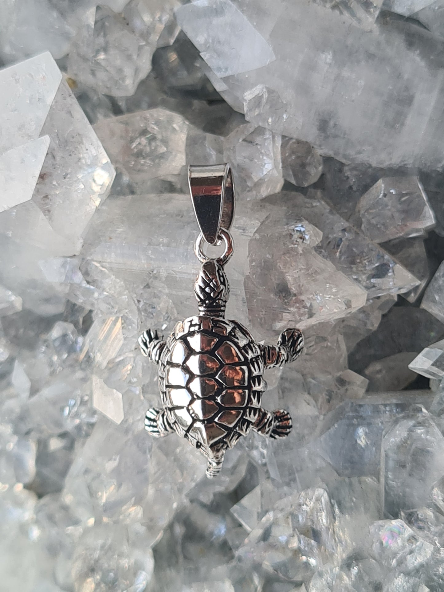 Turtle Pendant | Sterling Silver