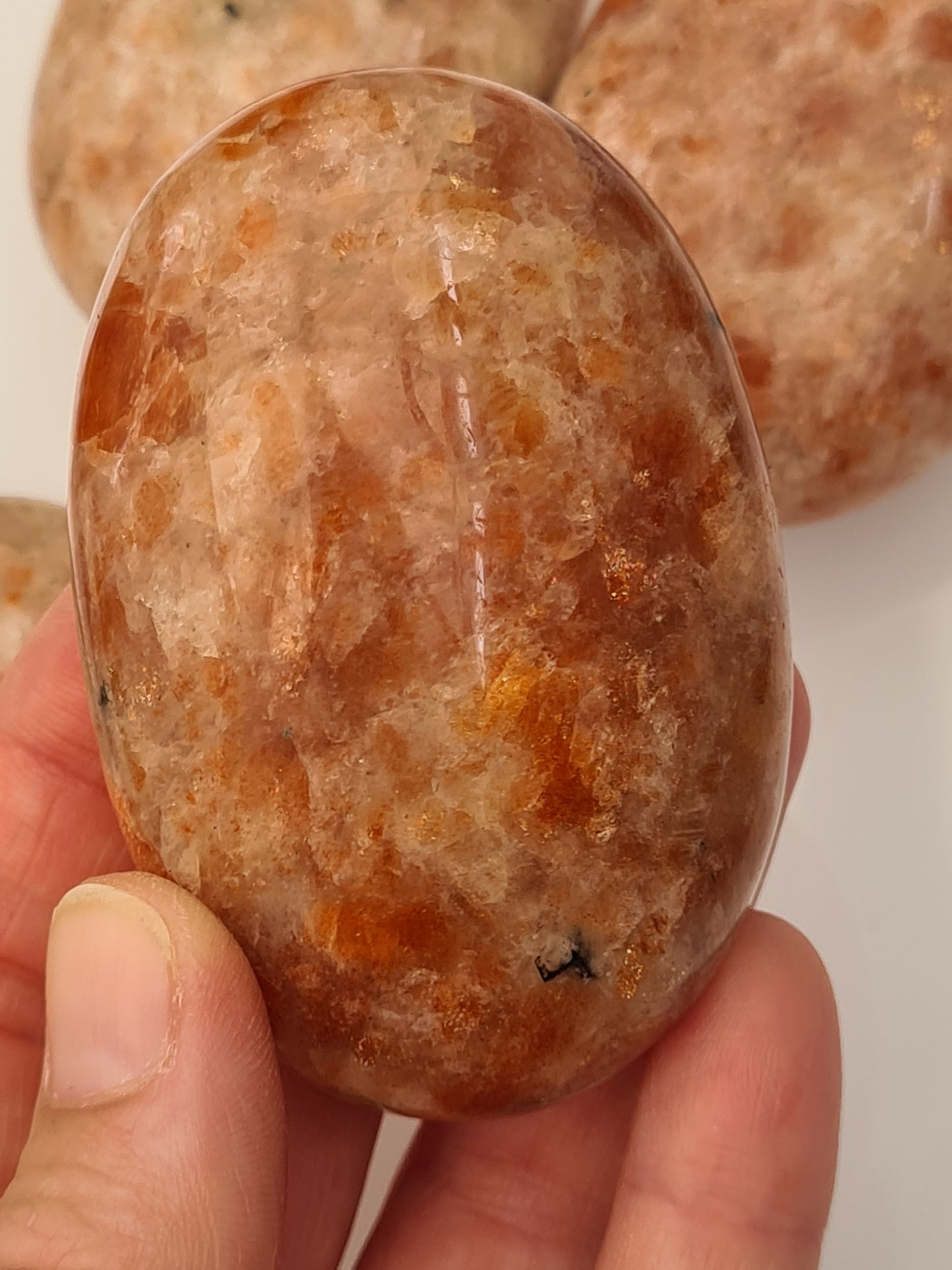 Sunstone Palmstone | India