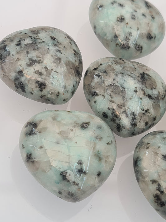 Vibrant Kiwi Jasper small polished hearts, in colours of turquoise, white and black.
Photographed on a white background.