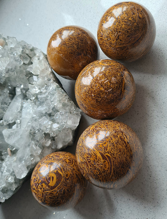 Natural Brown Sanskrit Jasper AKA Calligraphy Jasper Spheres with 'writing' pattern. 
Photographed with an apophyllite raw cluster on a white background. 