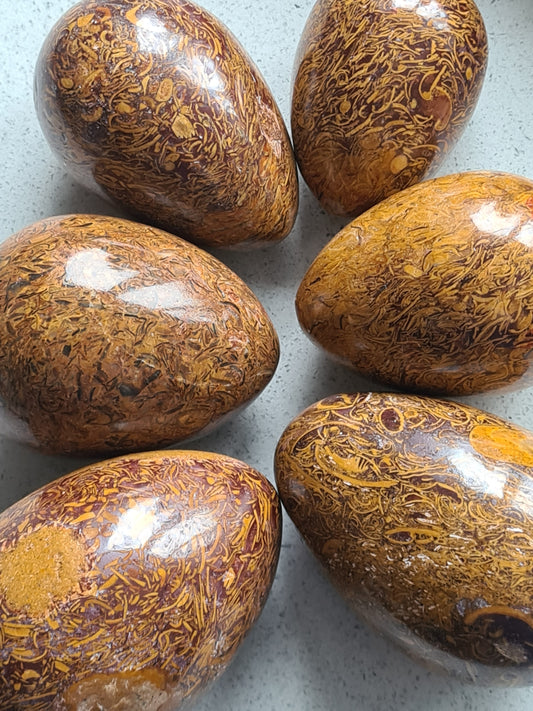 Natural Brown Sanskrit Jasper AKA Calligraphy Jasper Eggs with 'writing' pattern. Six photographed on a white background. 