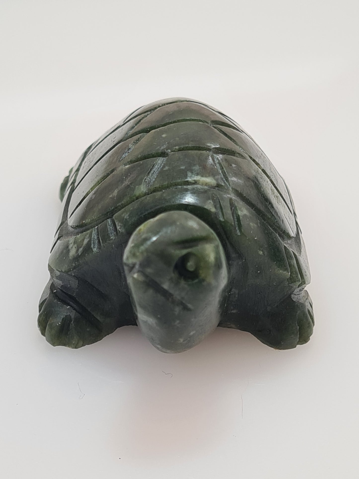 Serpentine Turtle