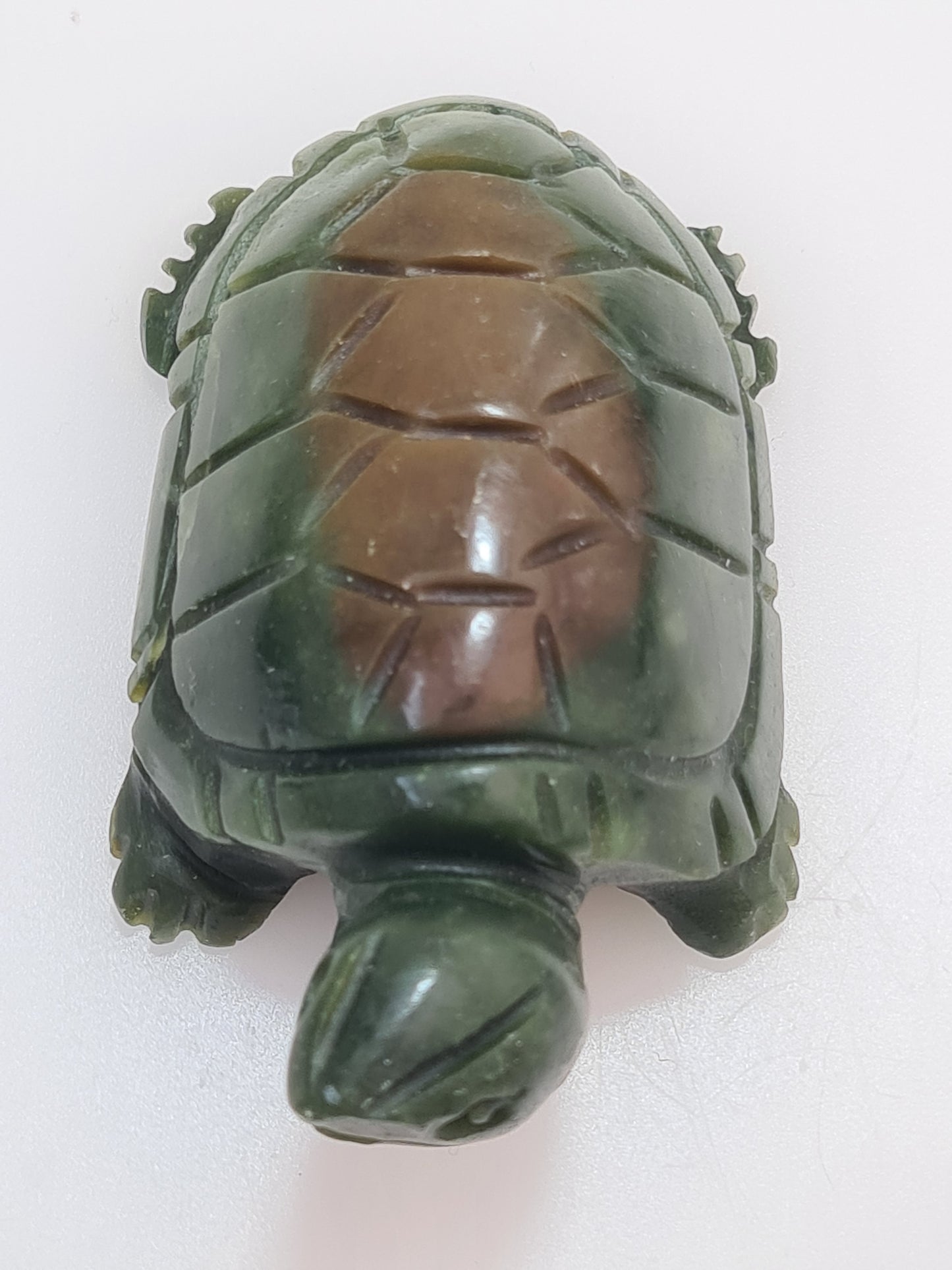 Serpentine Turtle