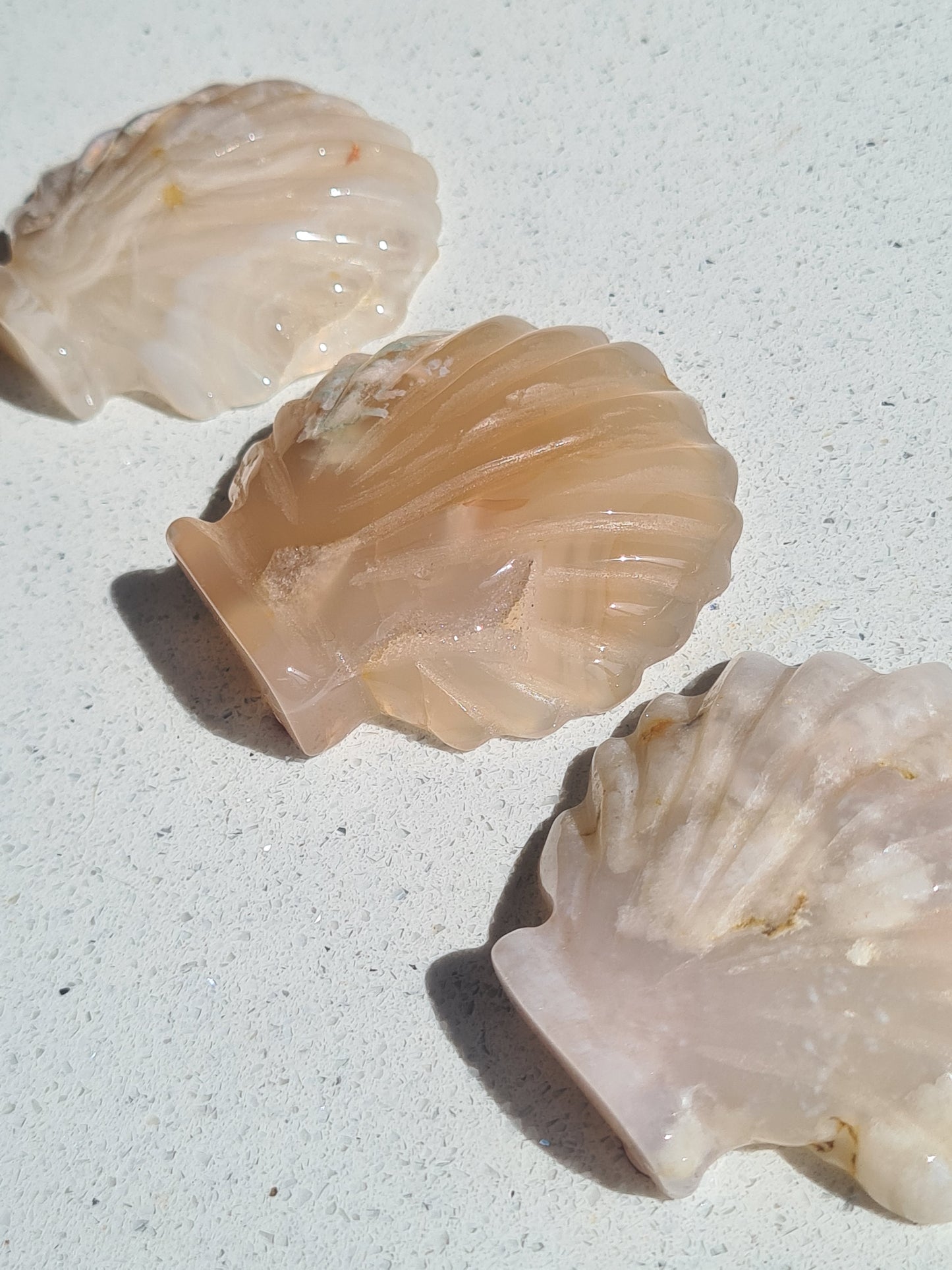 Flower Agate Seashell