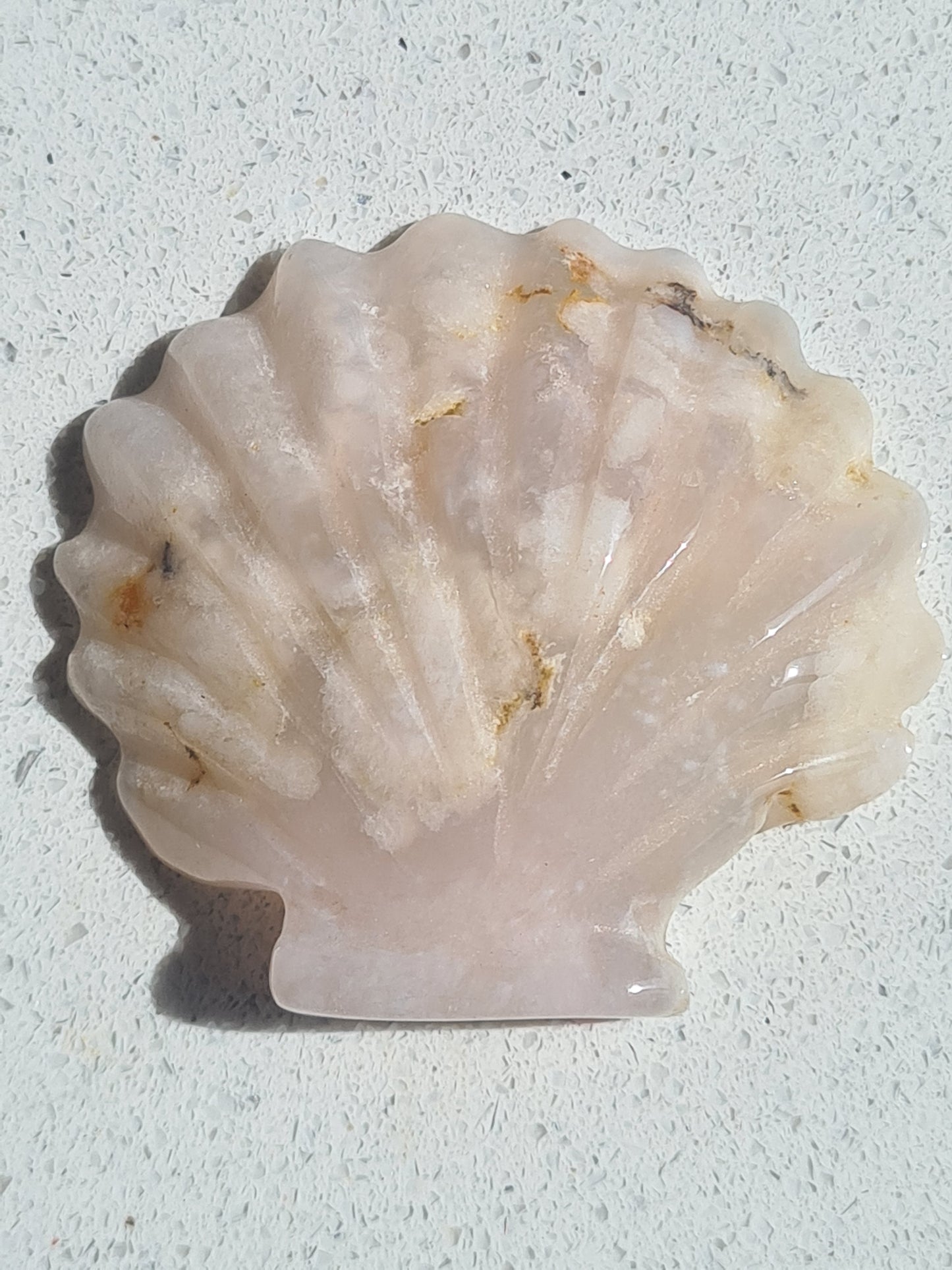 Flower Agate Seashell