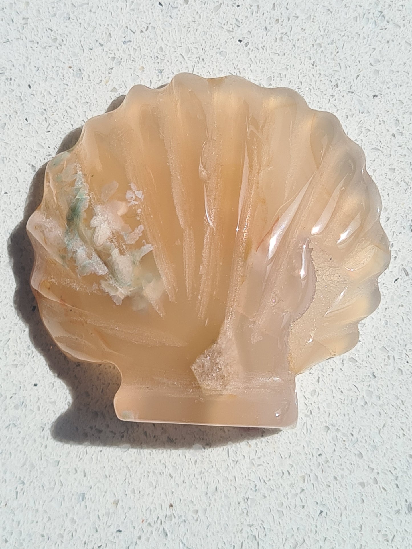 Flower Agate Seashell