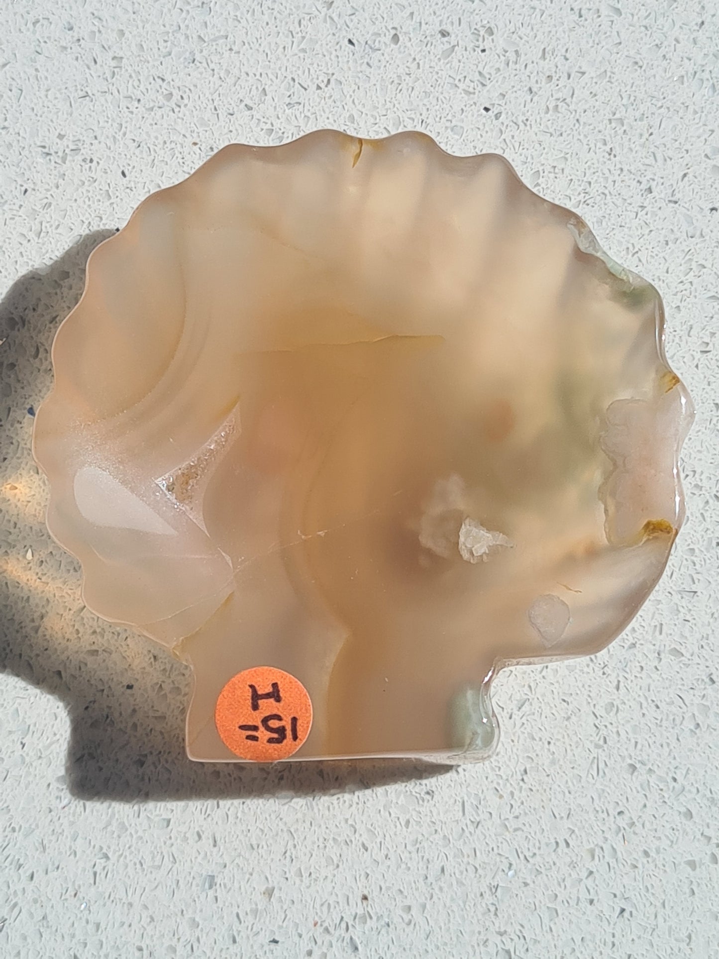 Flower Agate Seashell