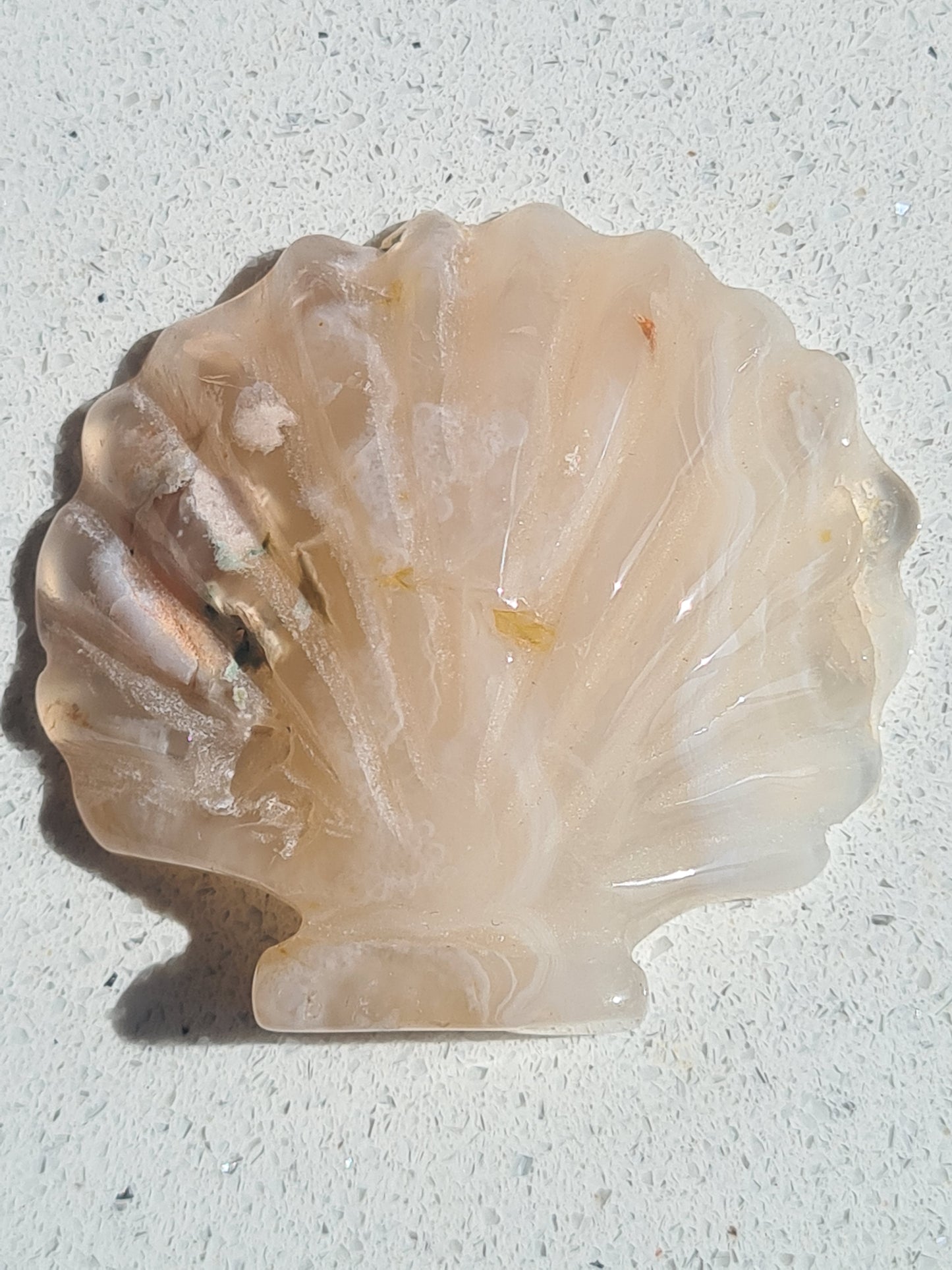 Flower Agate Seashell