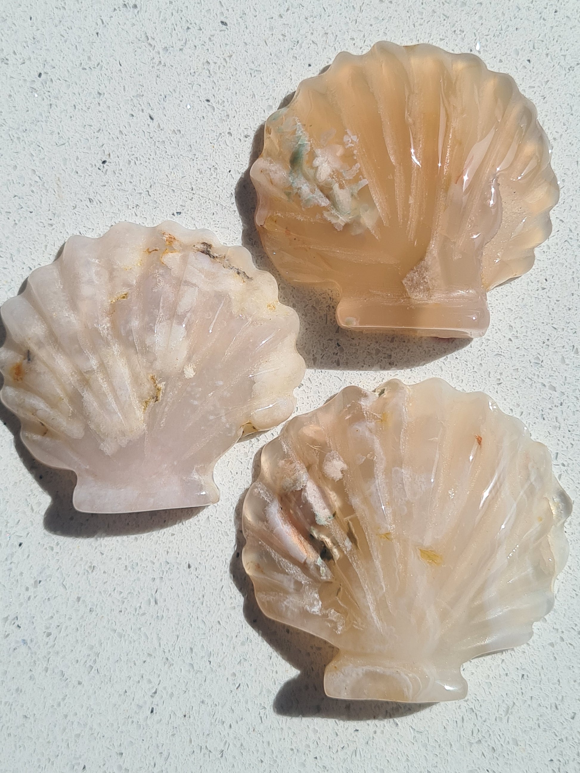 Natural Flower Agate Carved Seashells. In pink and white. Clam shell. Photographed on a white granite background.