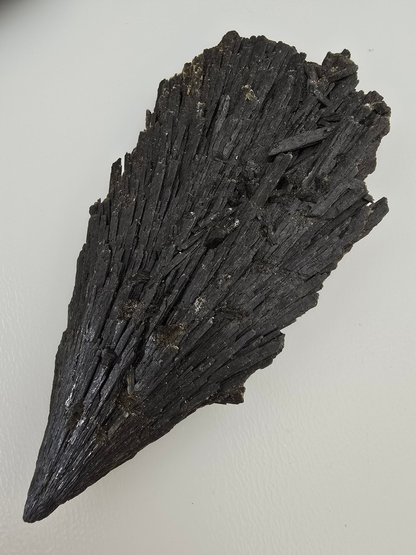 Black Kyanite Raw | Brazil | Witches Broom