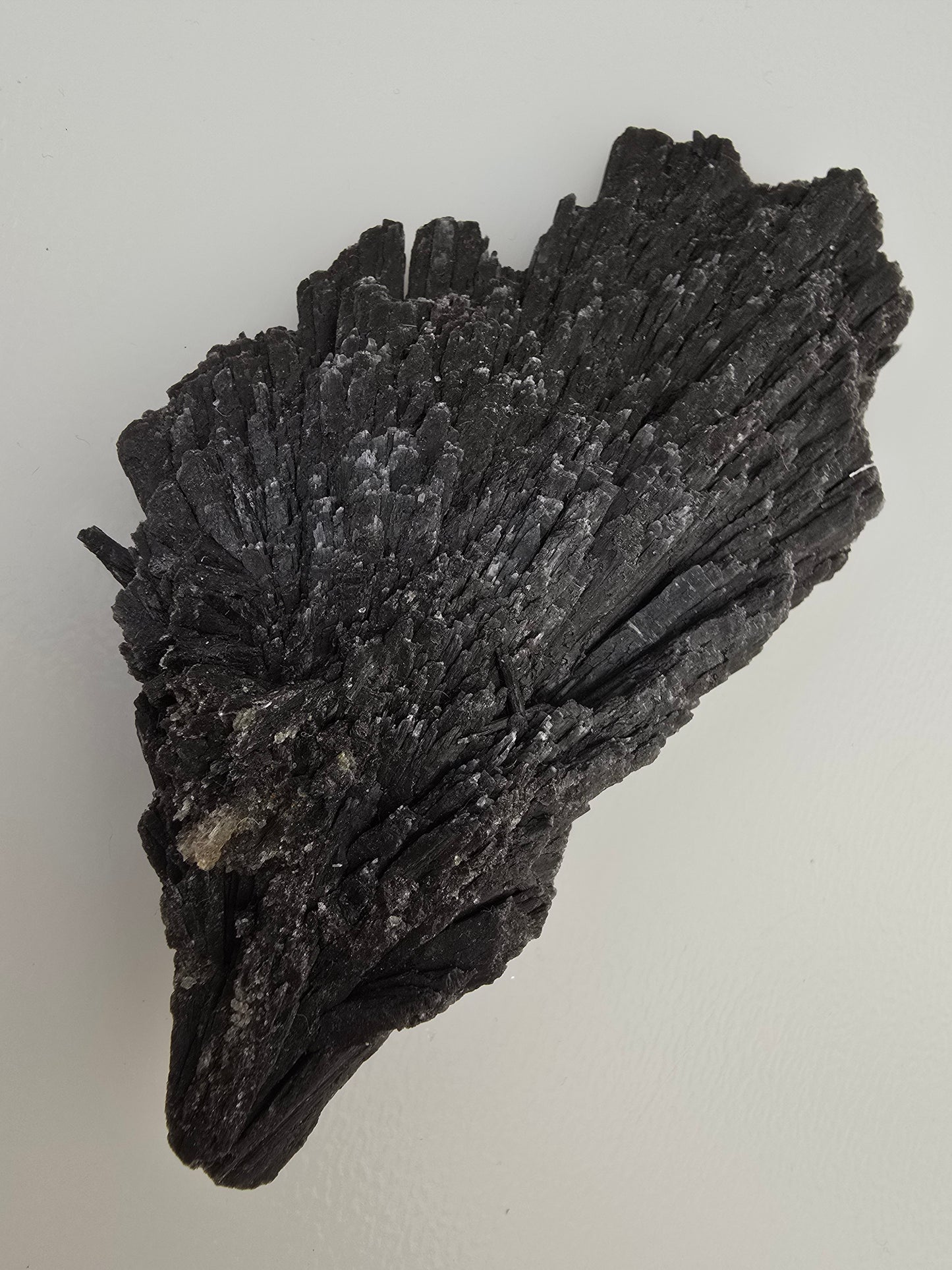 Black Kyanite Raw | Brazil | Witches Broom