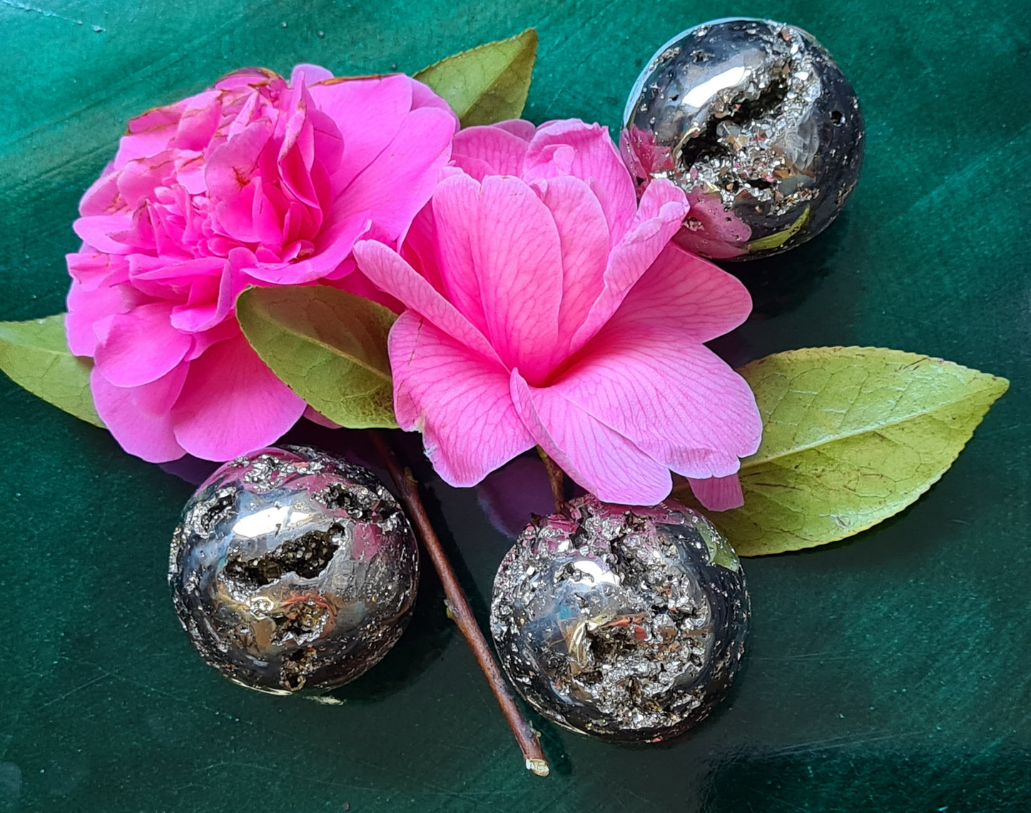 Three druzy Iron Pyrite Polished Spheres filled with caves shown with Pink Peonies on a green background