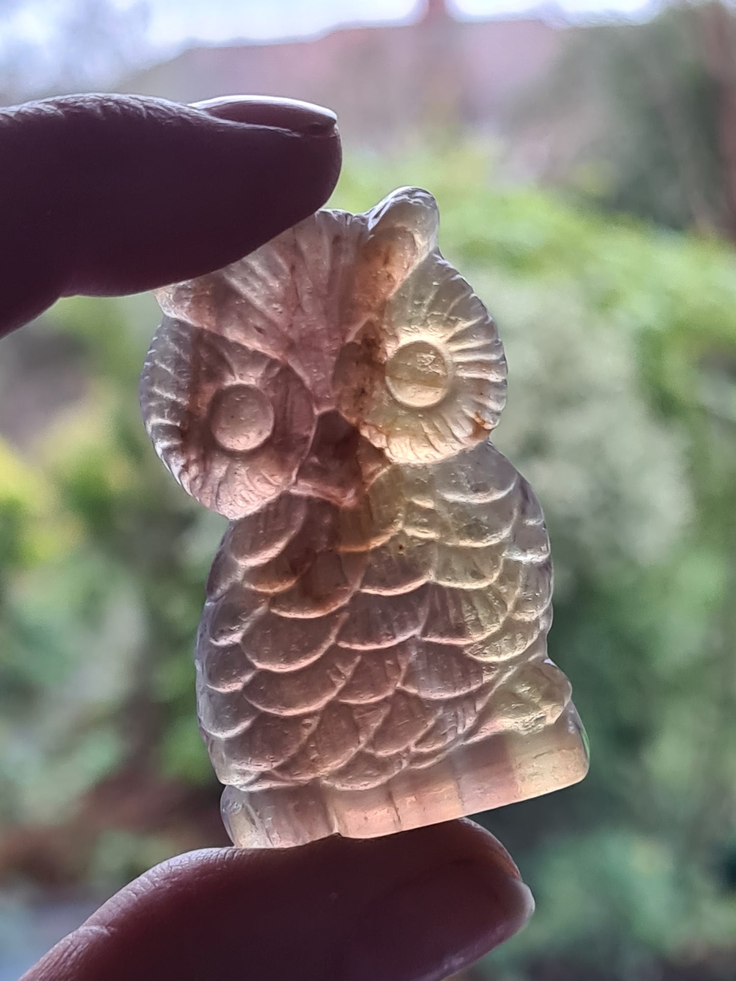 Yellow Fluorite Owl Carving | China