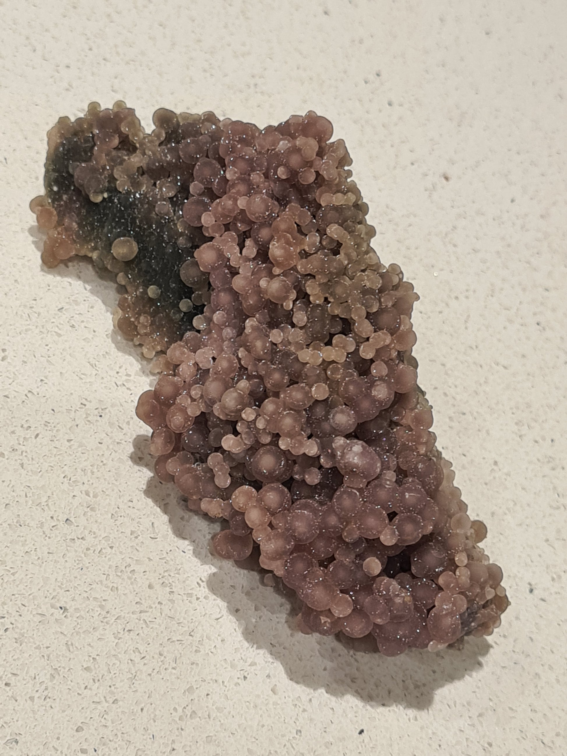 Raw Grape Agate Specimen in Purple and Green. Some of the botroydial 'grape's are translucent so you can see the centre core.