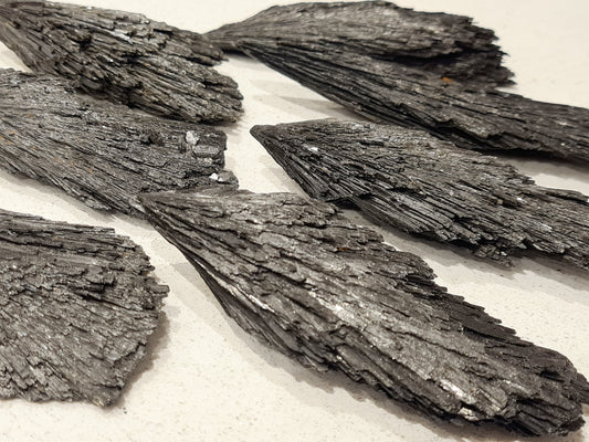 Black Kyanite Raw Witches Brooms displaying Opaque Black Fibrous Structure for Protection and Control