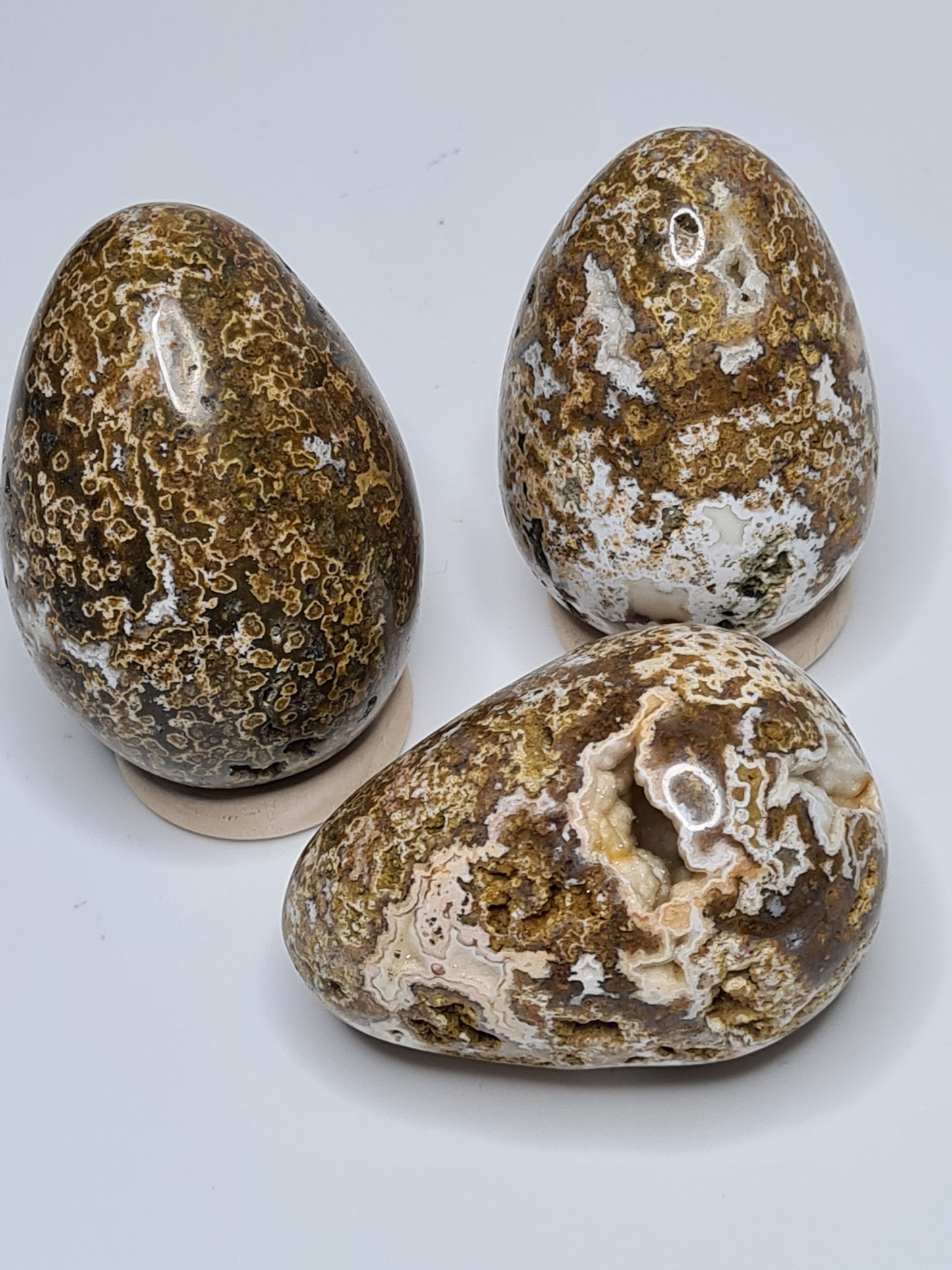 Three earth toned orbicular jasper eggs, each with unique patterns and quartz druzy caves