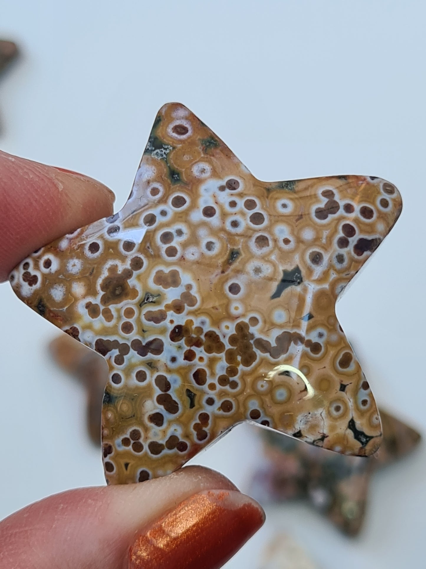 Orbicular Jasper Star | Indonesia