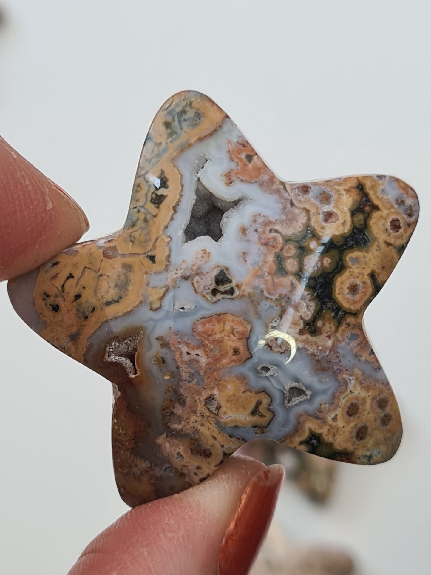 Orbicular Jasper Star | Indonesia
