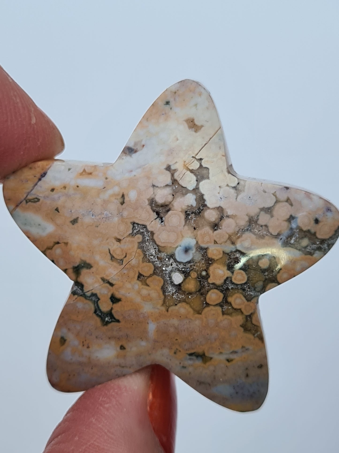 Orbicular Jasper Star | Indonesia