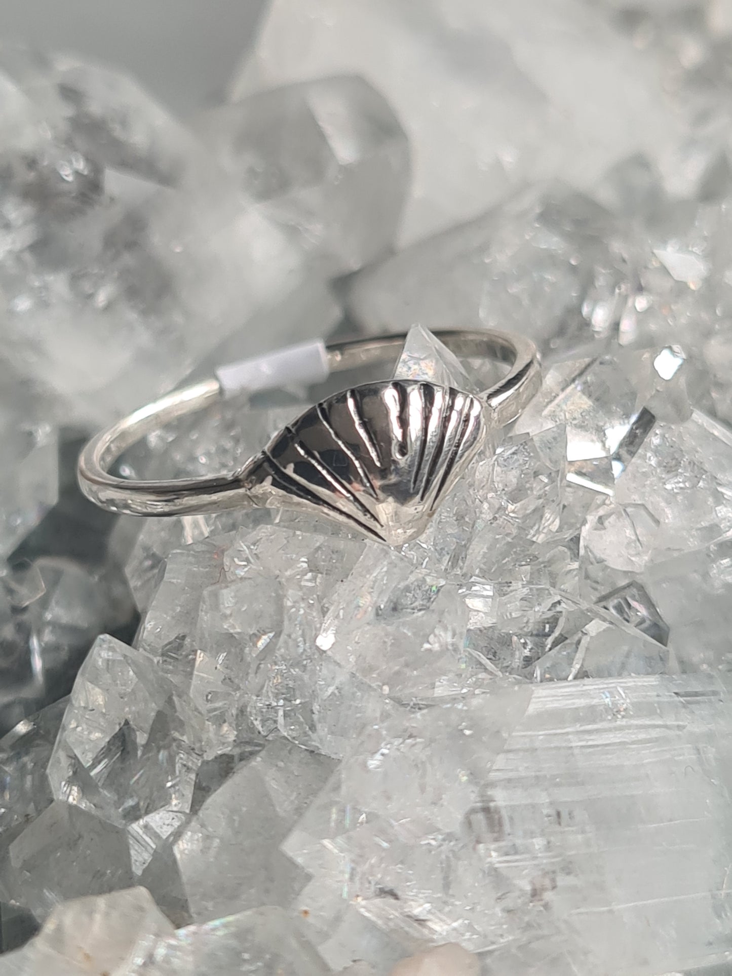 A sterling silver seashell ring, sizes J, N and P available