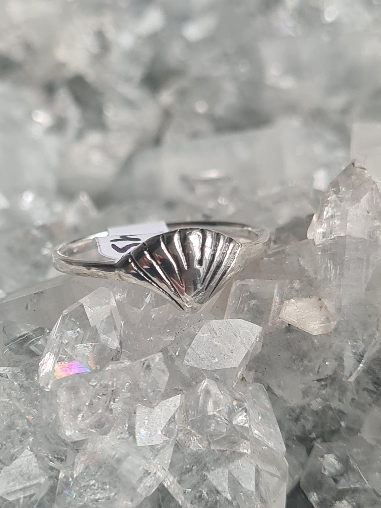 Shell Ring | Sterling Silver | Size J, N & P