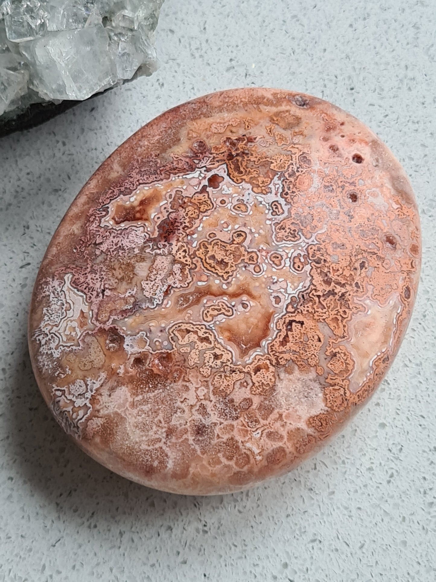 Pink Java Agate Palm stone | Indonesia