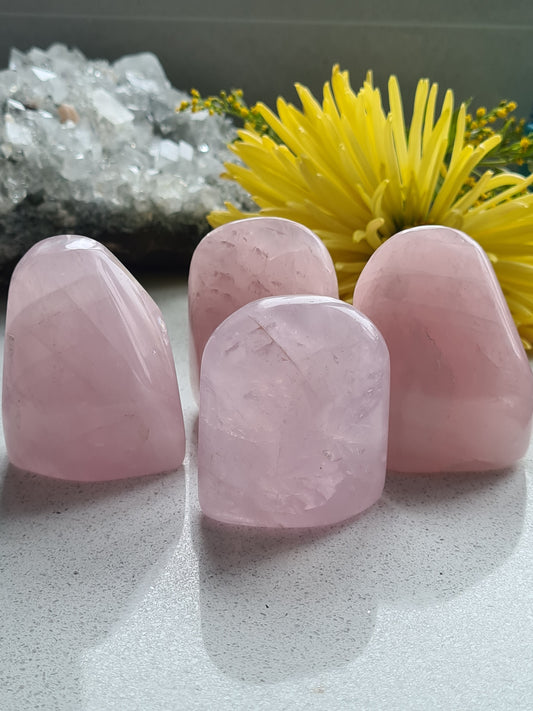 Collection of Rose Quartz standing freeforms, 4 in total, with yellow flowers in background. 